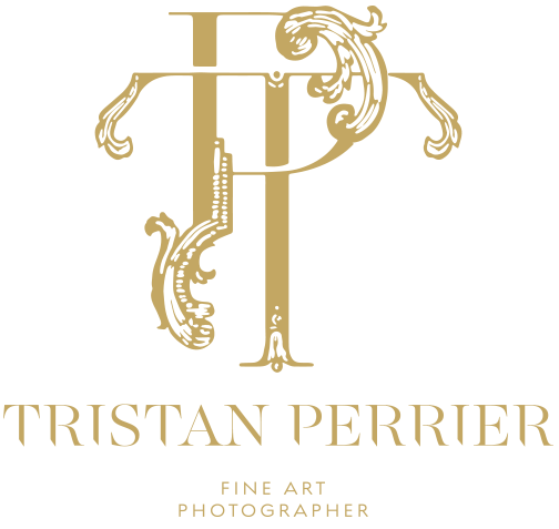 Logo Tristan Or