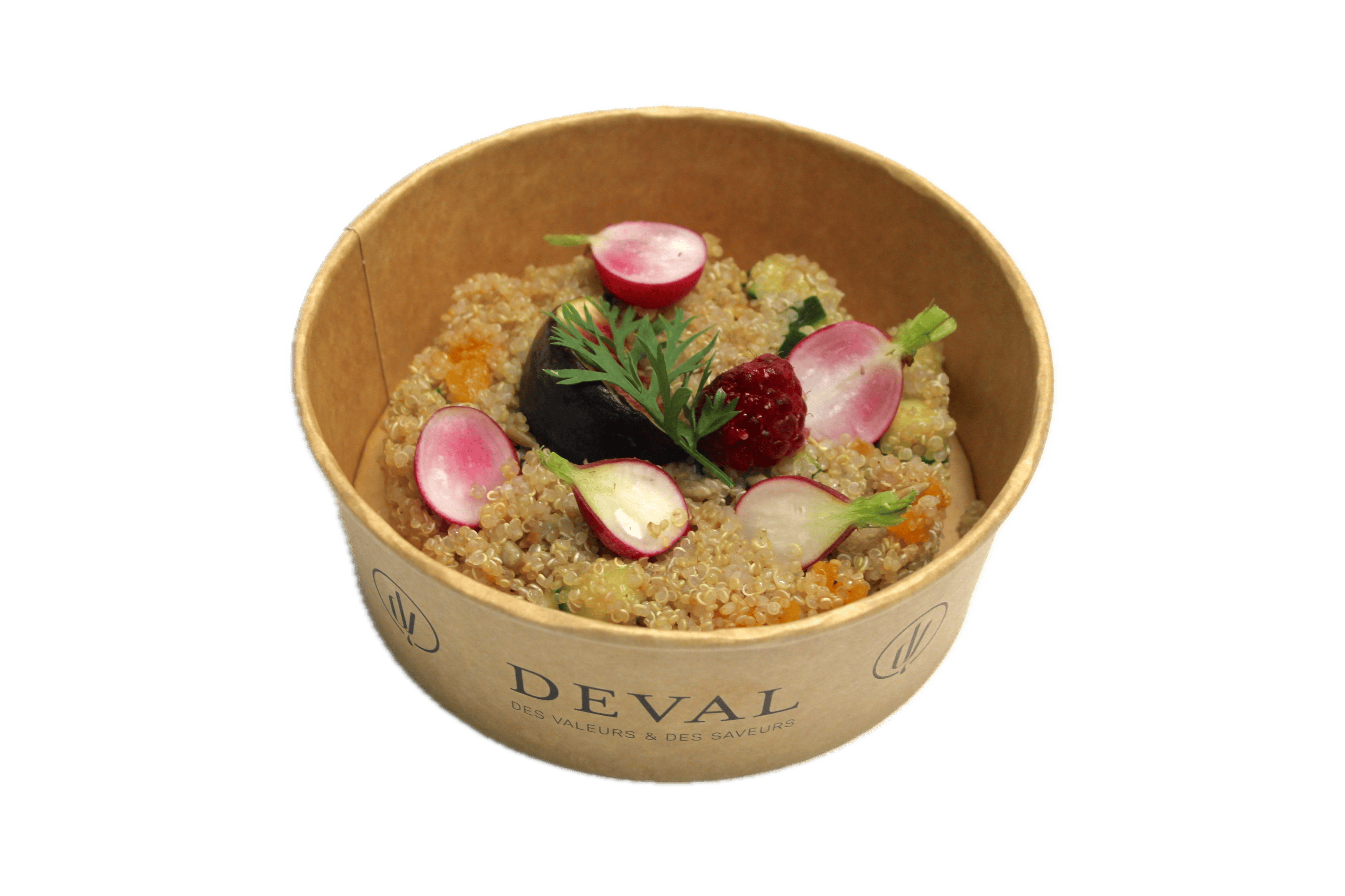 Salade De Quinoa Concombre Et Radis  Avec Arrie Re Plan Supprime 